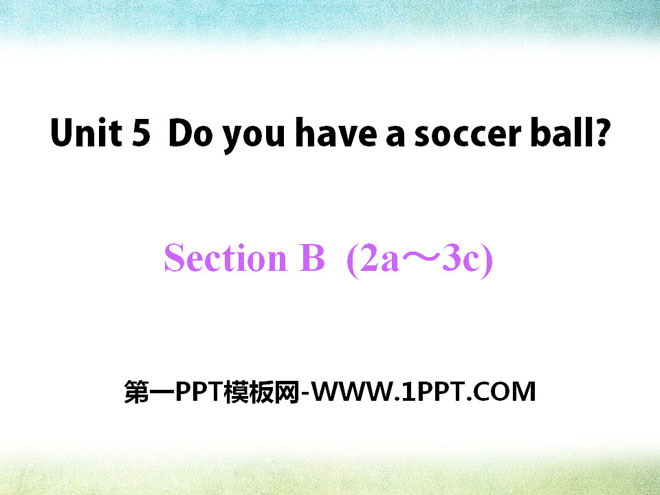 《Do you have a soccer ball?》PPT课件15