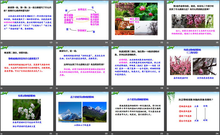 《大自然的语言》PPT（3）