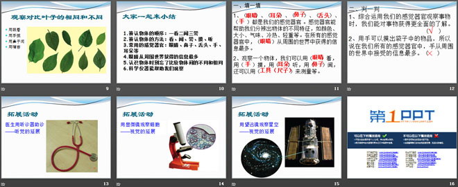 《怎样认识物体》PPT课件（3）