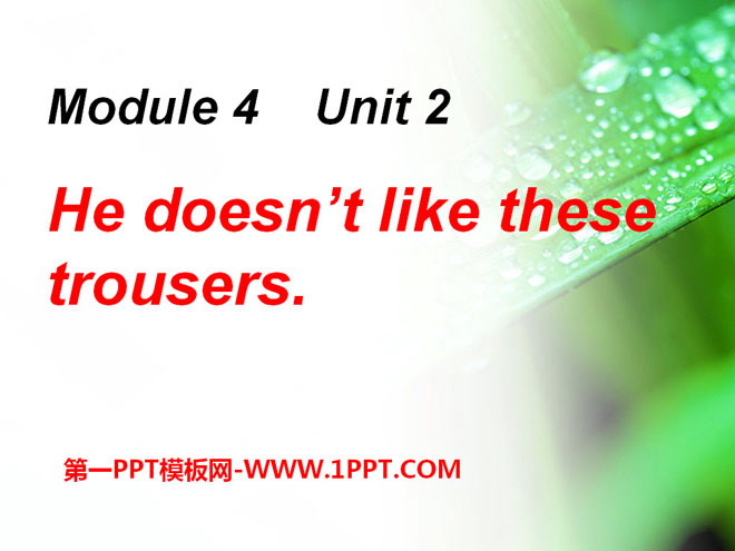 "He doesn't like these trousers" PPT courseware