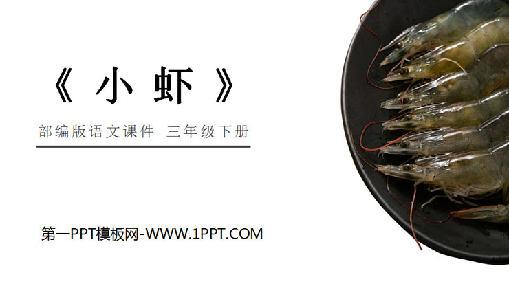 《小蝦》PPT課程免費下載
