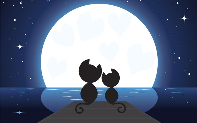 Two kittens under the moonlight PPT background picture