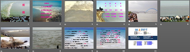 《观潮》PPT课件2
（2）