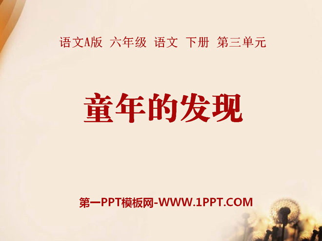 《童年的发现》PPT课件17