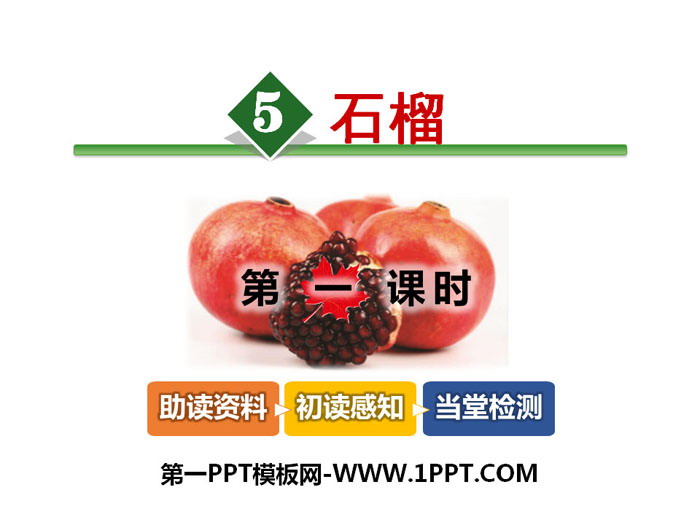 "Pomegranate" PPT download