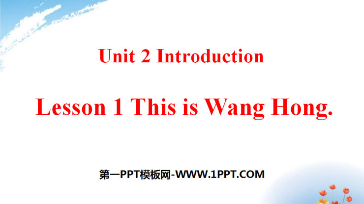 《This is Wang Hong》Introduction PPT