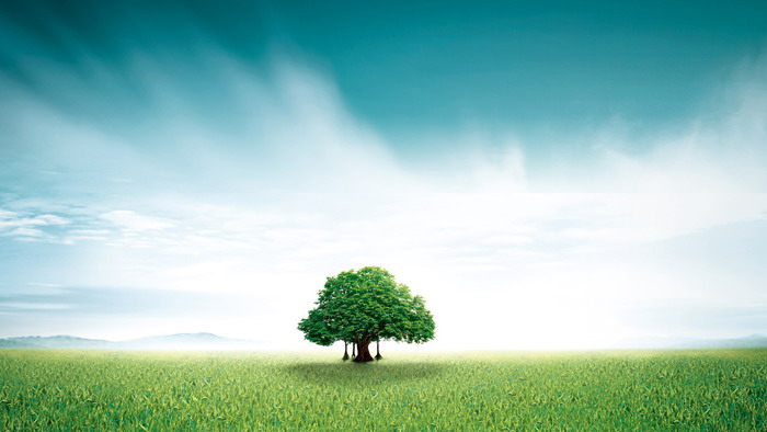 Beautiful grass and green trees PPT background picture
