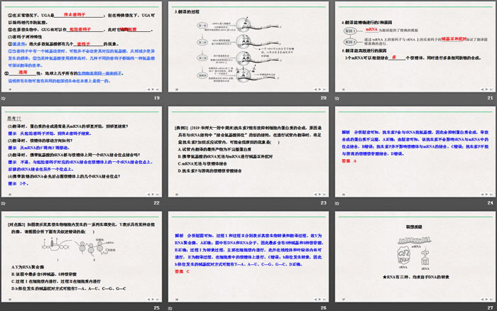 《基因指导蛋白质的合成》基因的表达PPT课件（4）