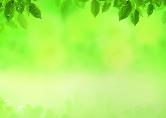 水珠树-叶黄绿色-调PPT-背景图片