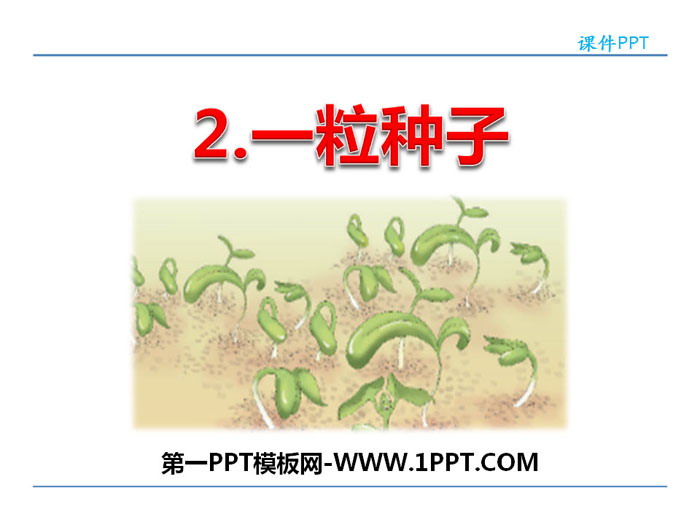 "A Seed" PPT teaching courseware