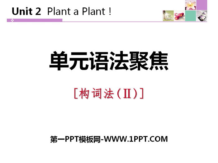 "Unit Grammar Focus" Plant a Plant PPT courseware