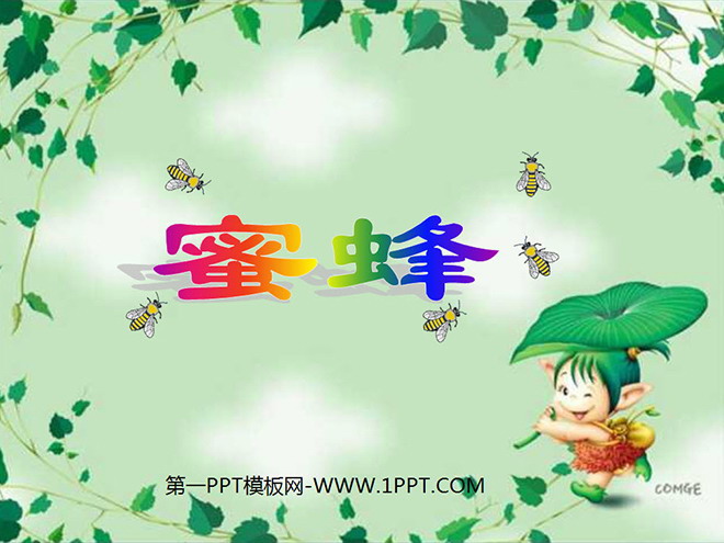 《蜜蜂》PPT教学课件下载2