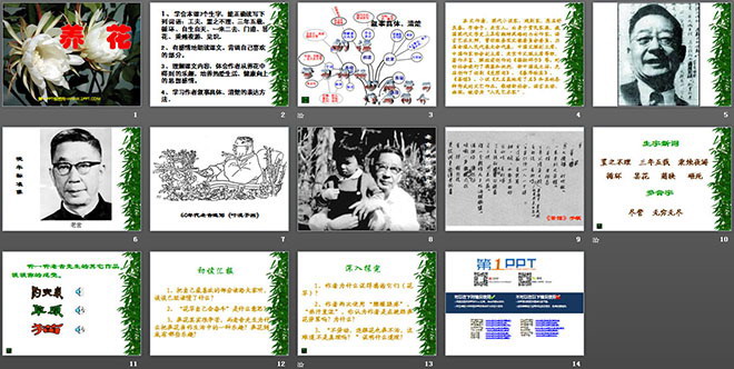 北师大版六年级下册语文（2）