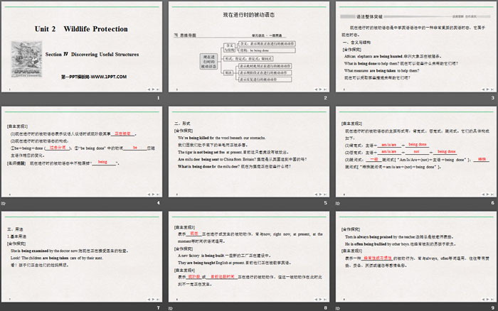 《Wildlife Protection》SectionⅣ PPT课件（2）