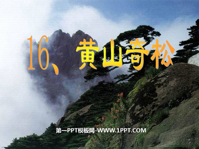 "Huangshan Wonderful Pines" PPT Courseware 4