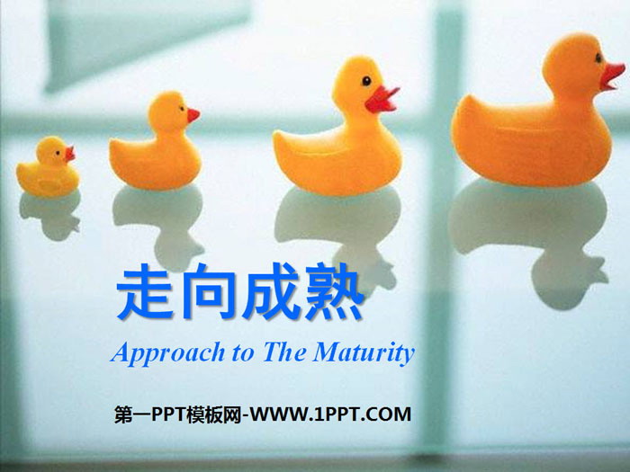 "Toward Maturity" PPT