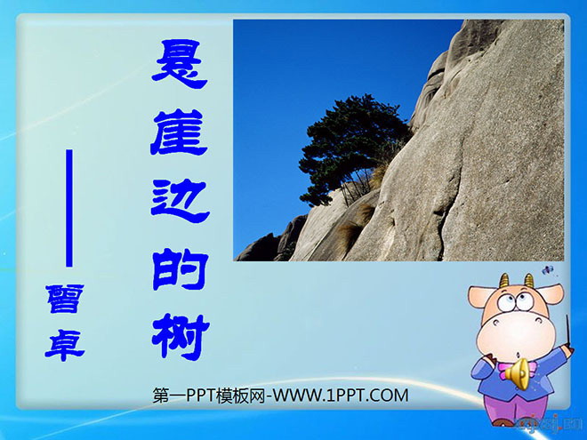 "Tree on the Cliff" PPT courseware