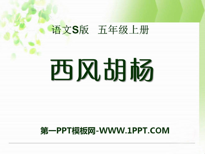 《西风胡杨》PPT课件2
