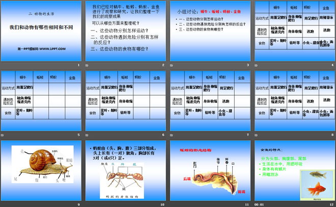 《我们和动物有哪些相同和不同》动物的生活PPT课件3（2）