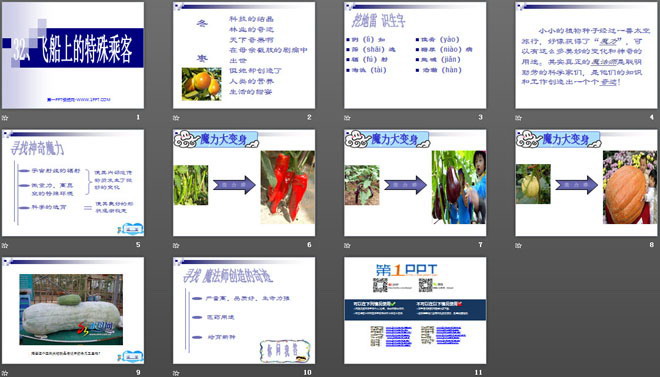 《飞船上的特殊乘客》PPT课件下载2（2）