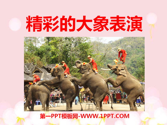 "Wonderful Elephant Performance" PPT courseware 3