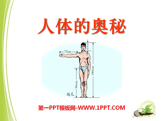 《人体的奥秘》PPT课件2
