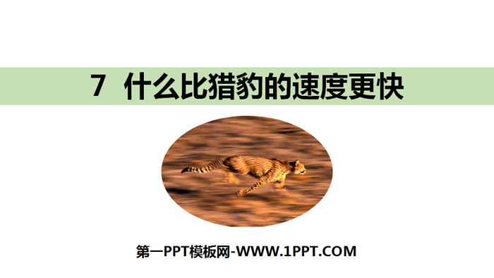 "What is faster than a cheetah" PPT free courseware