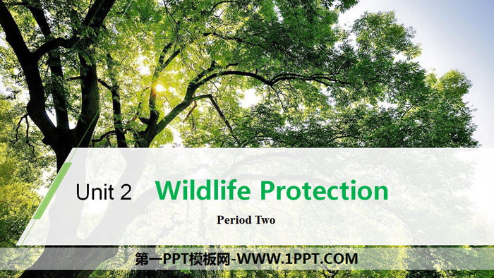 《Wildlife Protection》Period Two PPT