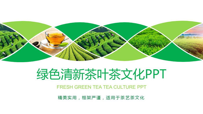 绿色茶园背景的茶文化PPT模板（1）