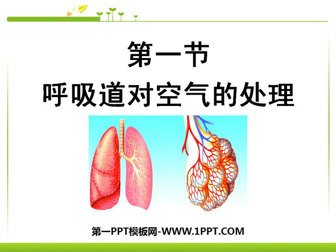 《呼吸道對空氣的處理》人體的呼吸PPT課程5