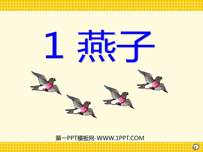 "Swallow" PPT courseware 3