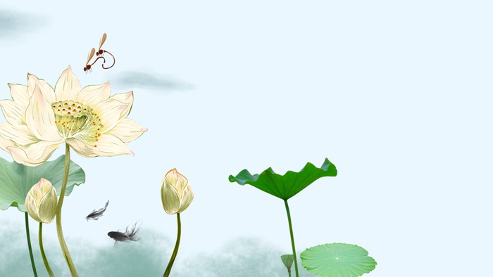 12-Fresh lotus-lotus leaf PP-T background pictures