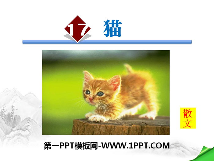"Cat" PPT download