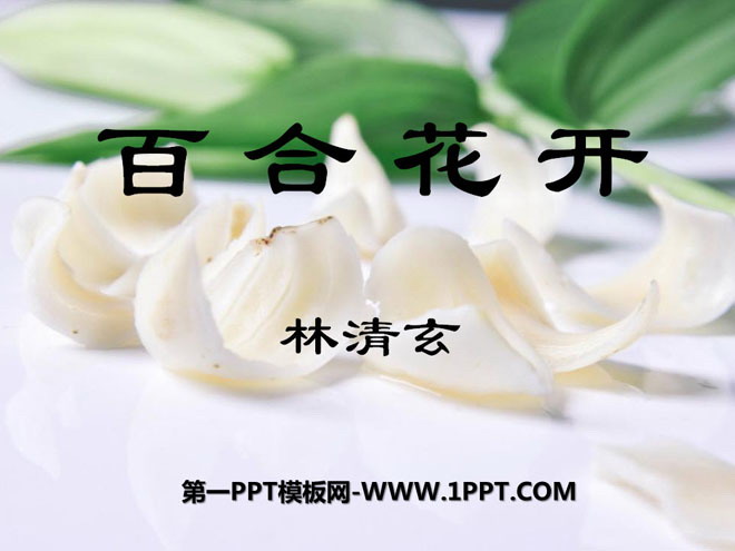 "Lily Blossoms" PPT courseware 2