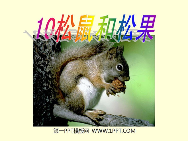 "Squirrel and Pine Cone" PPT Courseware 4