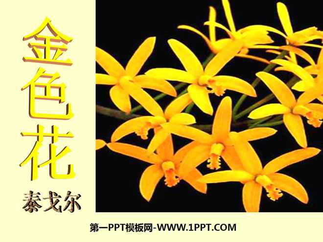 "Two Poems-Golden Flower" PPT courseware 4