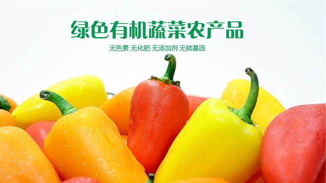 Green organic vegetables PPT template