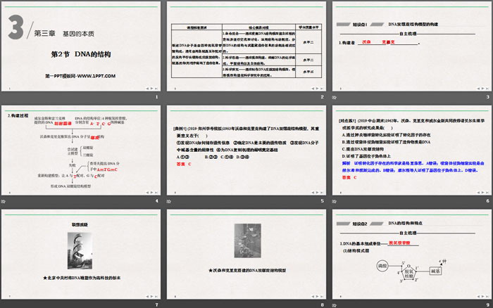 《DNA的结构》基因的本质PPT下载（2）