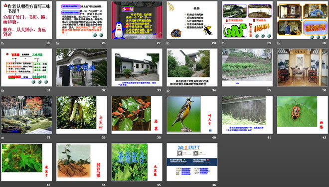 《从百草园到三味书屋》PPT课件4（3）
