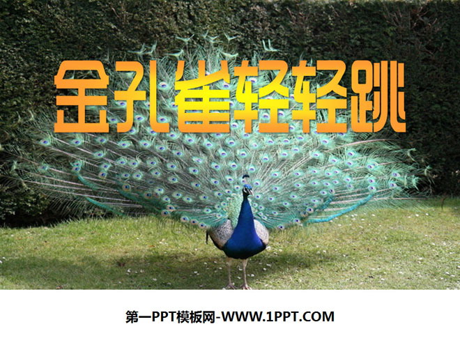 "The Golden Peacock Jumps Gently" PPT Courseware 2