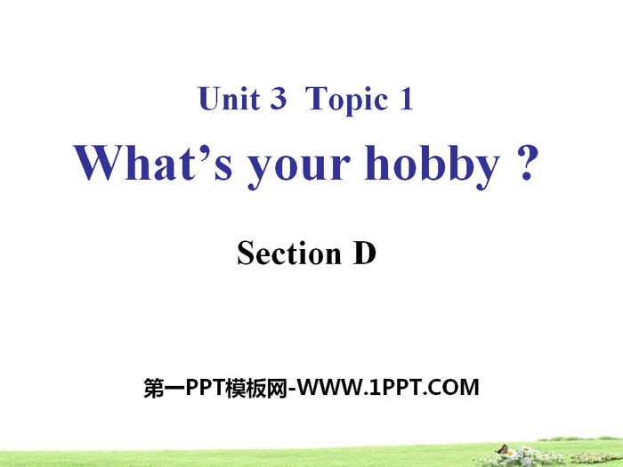 "What's your hobby?" SectionD PPT