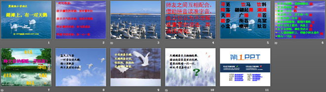 《湖滩上，有一对天鹅》PPT课件4
（2）