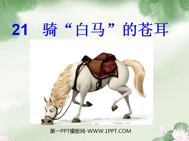 《騎「白馬」的蒼耳》PPT課件2