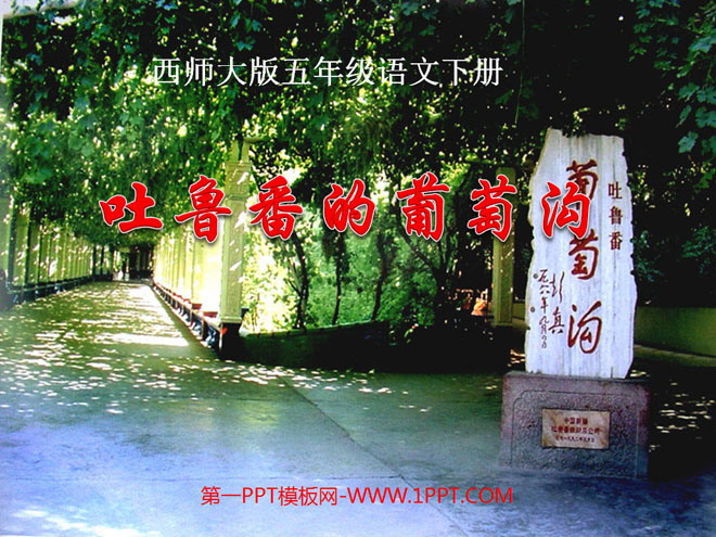 "Grape Valley in Turpan" PPT courseware 3