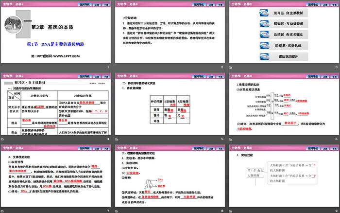 《DNA是主要的遗传物质》基因的本质PPT课件（2）