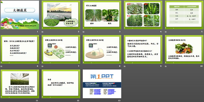 《大棚蔬菜》农田PPT课件3
（2）