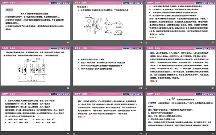 《DNA是主要的遗传物质》基因的本质PPT课件（4）