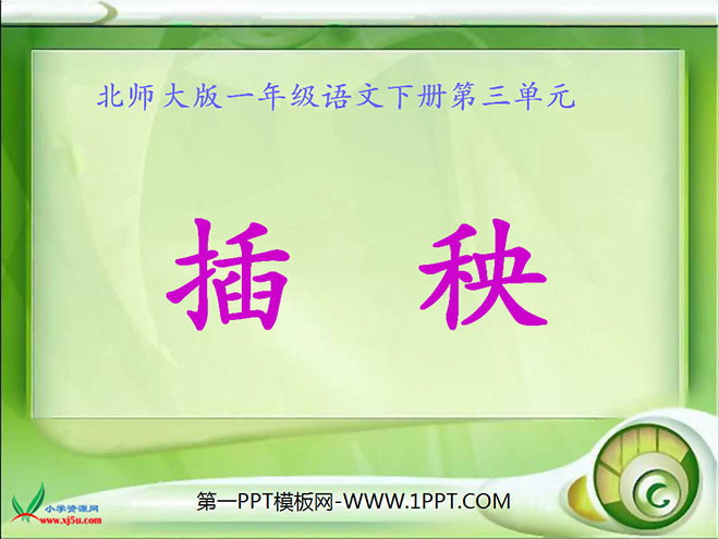 "Planting Rice" PPT Courseware 2