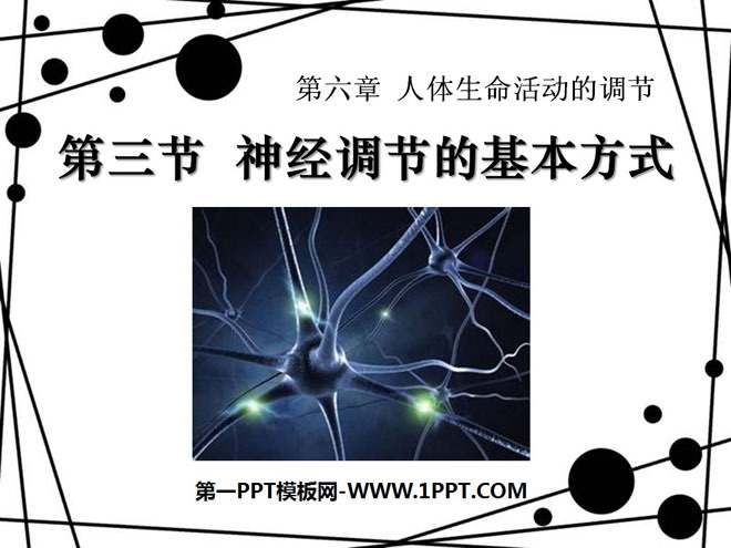 《神經調節的基本方式》人體生命活動的調節PPT課程4
