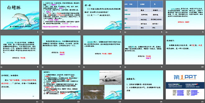 《白鳍豚》PPT课件3
（2）